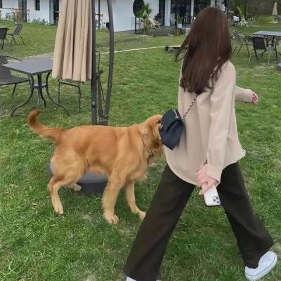 破镜奇案